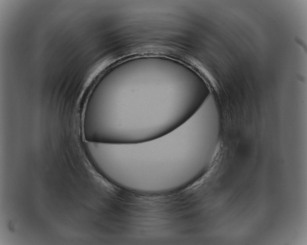 X0000091911075200709051207
