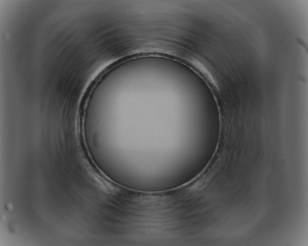 X0000091911076200709051207