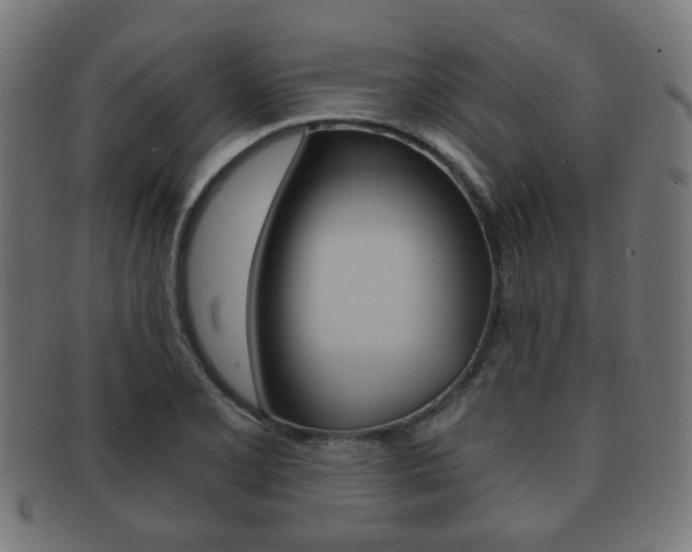 X0000091911077200709051207