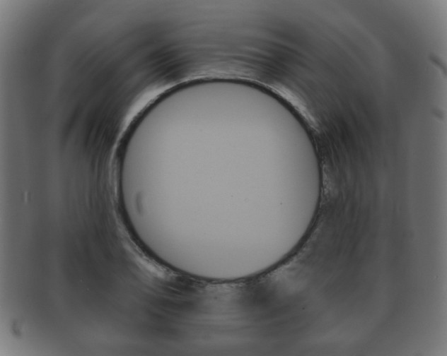 X0000091911078200709051207