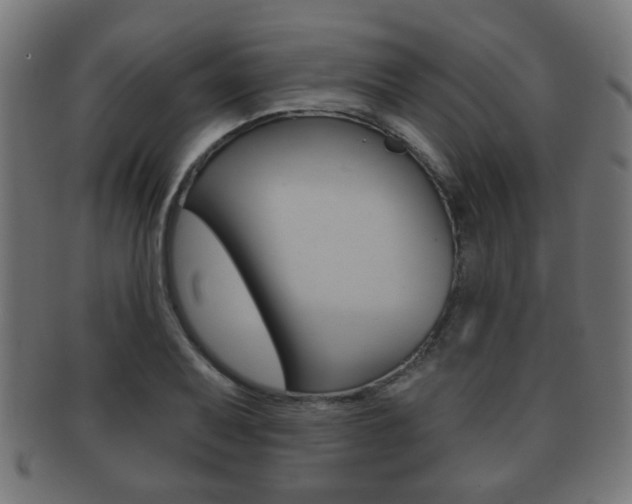 X0000091911079200709051207