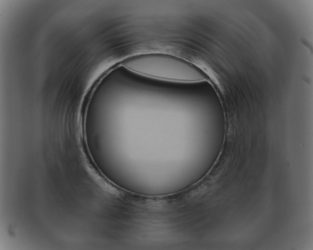 X0000091911080200709051207