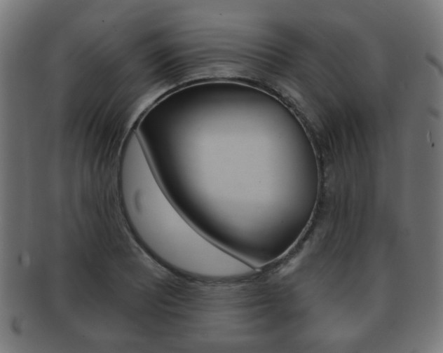 X0000091911081200709051207