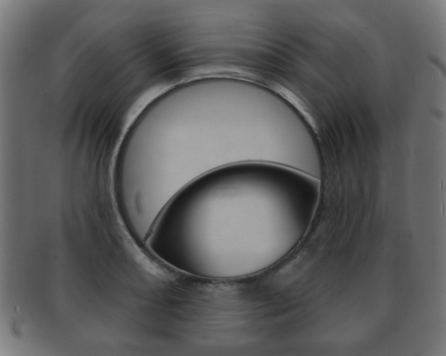 X0000091911082200709051207
