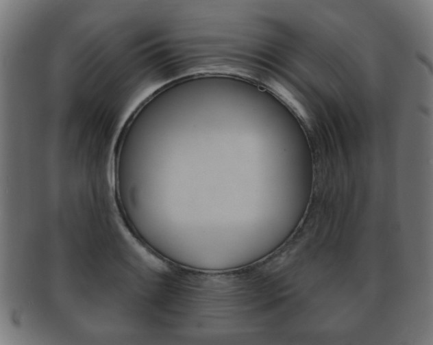 X0000091911084200709051207