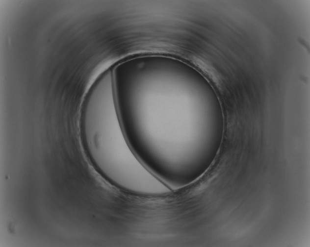 X0000091911085200709051207