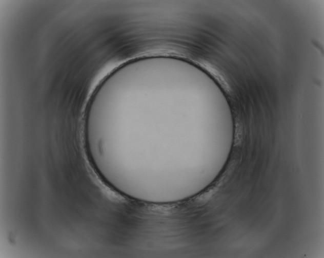 X0000091911086200709051207