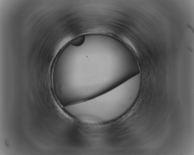 X0000091911087200709051206