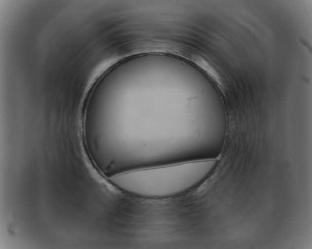 X0000091911088200709051206