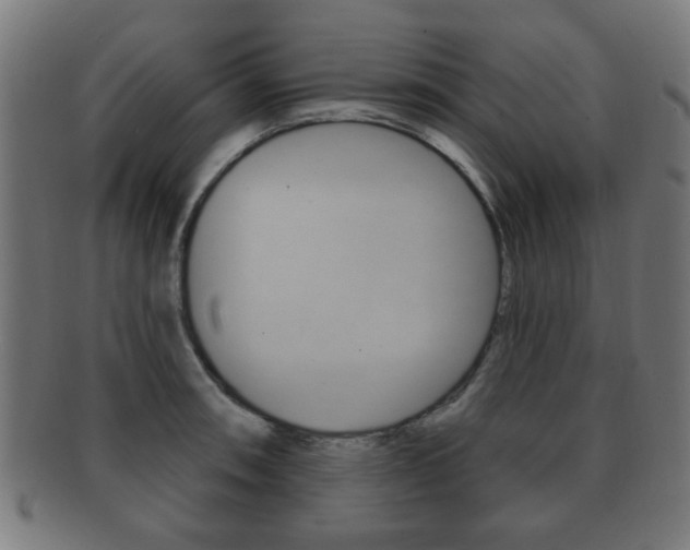 X0000091911090200709051206