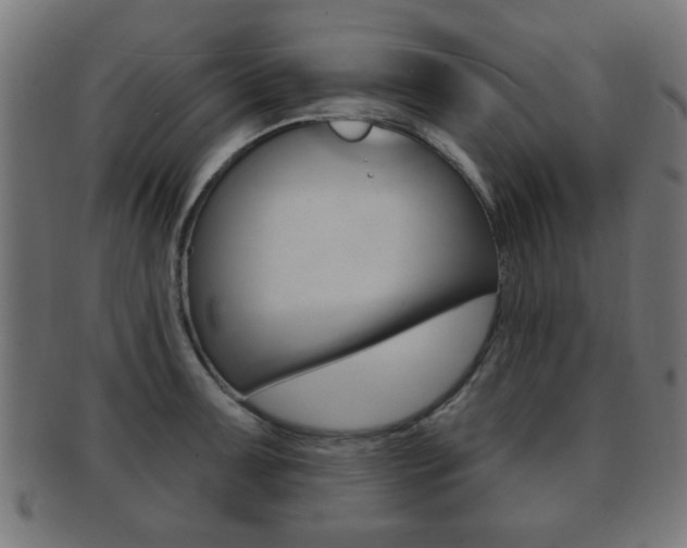 X0000091911091200709051206