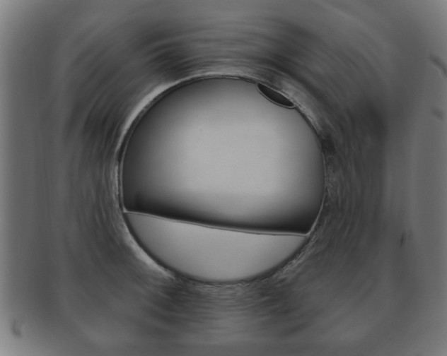 X0000091911092200709051206
