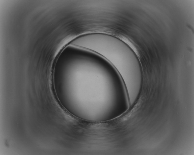 X0000091911093200709051206