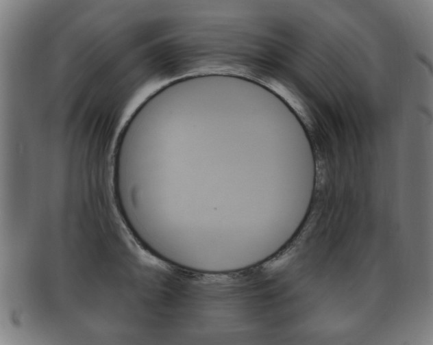X0000091911094200709051206