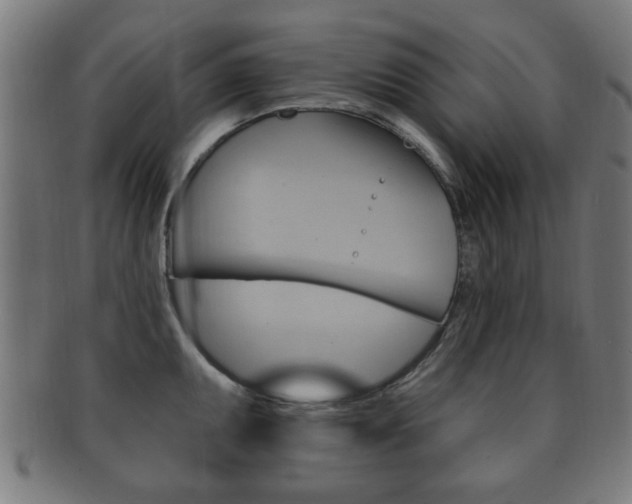 X0000091911095200709051206