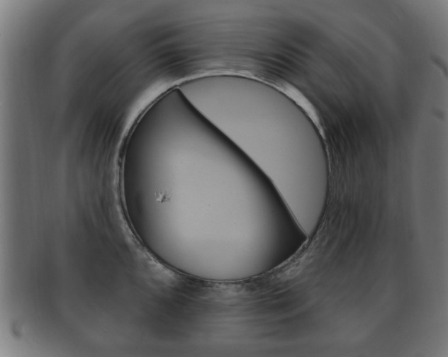X0000091911096200709051206