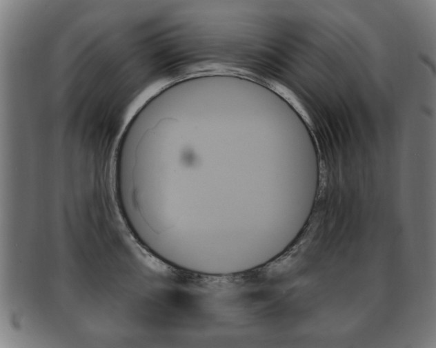 X0000091911098200709051206