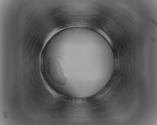 X0000091911099200709051206