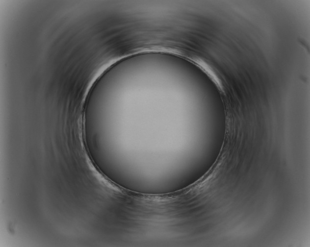 X0000091911100200709051206