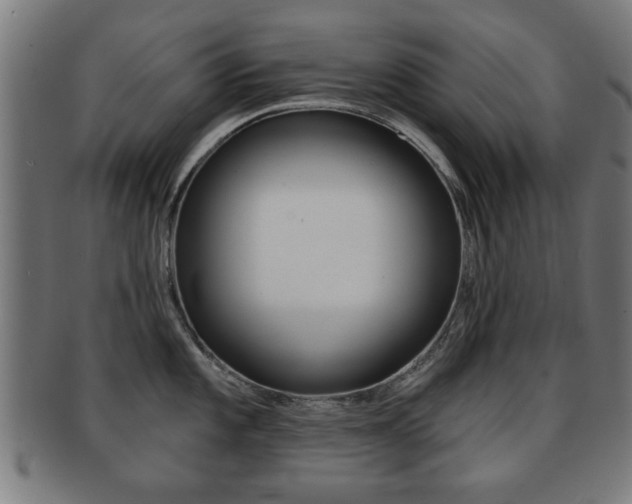 X0000091911101200709051206