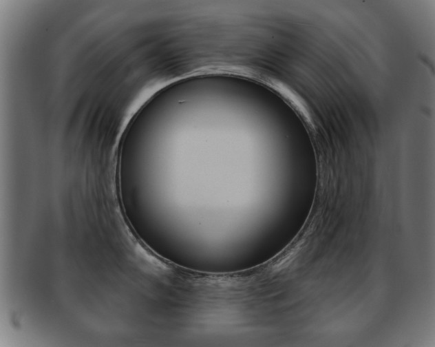 X0000091911102200709051206