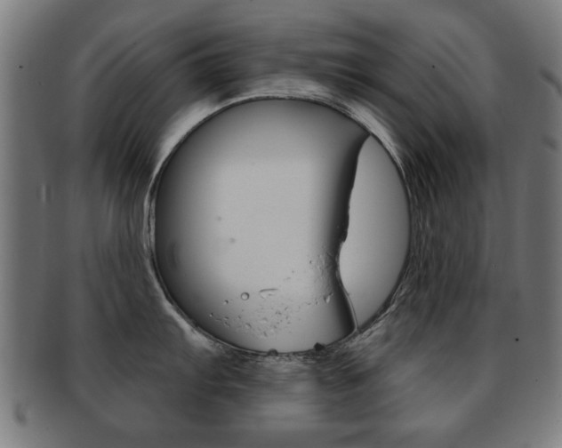 X0000091911103200709051206