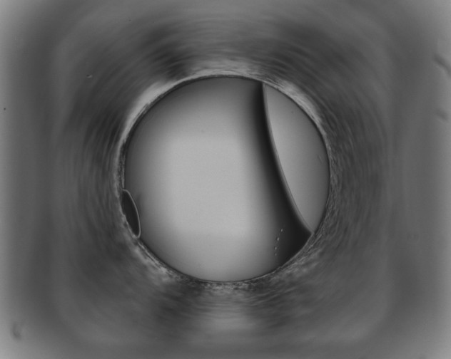 X0000091911104200709051206