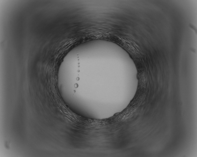 X0000091911105200709051206