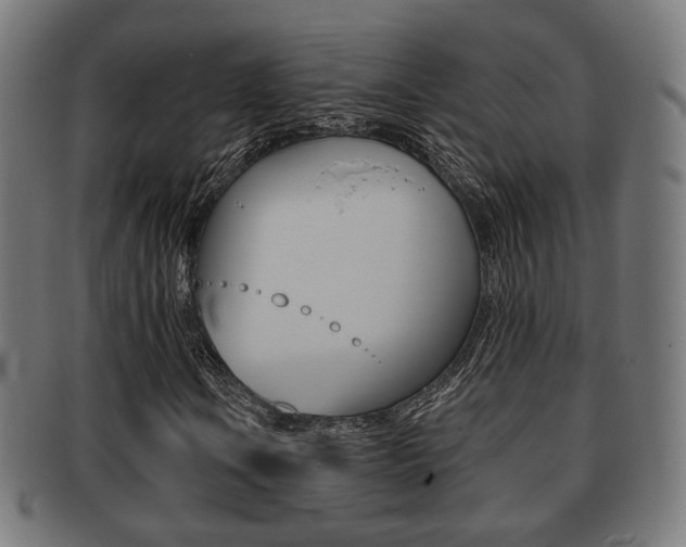 X0000091911106200709051206