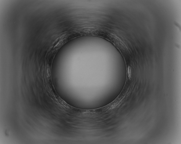 X0000091911107200709051206