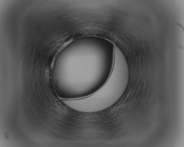 X0000091911108200709051206