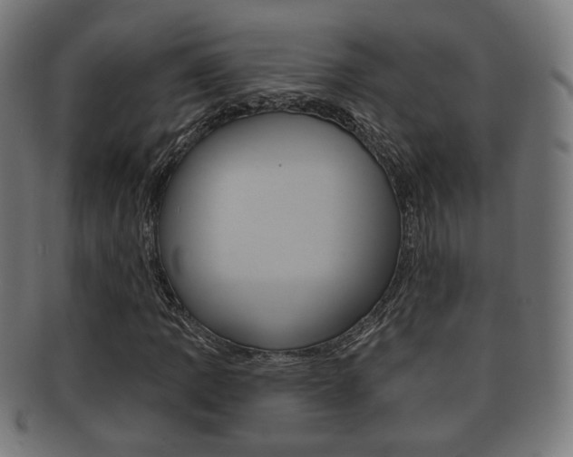 X0000091911109200709051206
