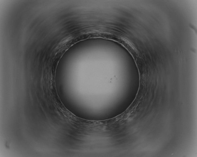 X0000091911111200709051206