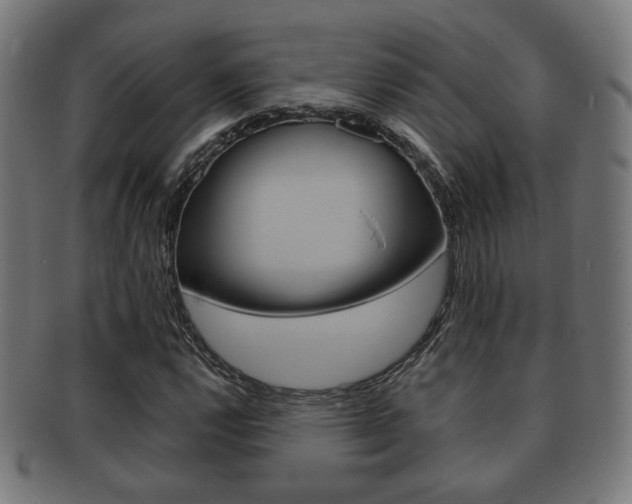 X0000091911112200709051206
