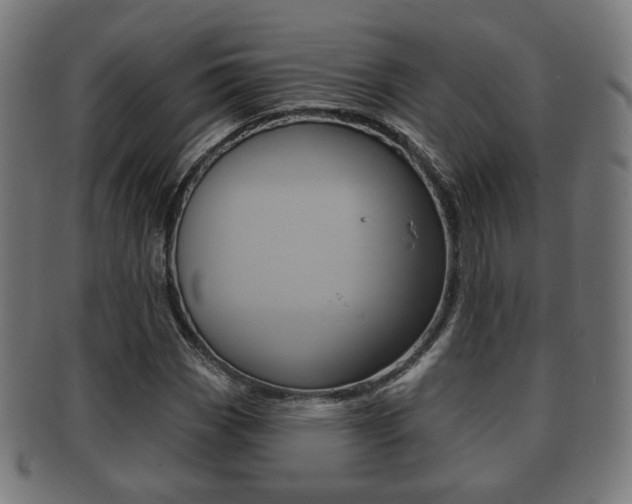 X0000091911113200709051206