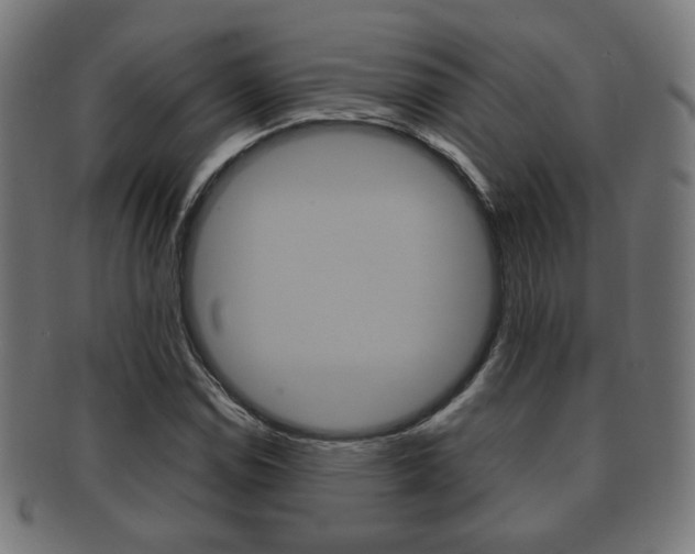X0000091911114200709051206