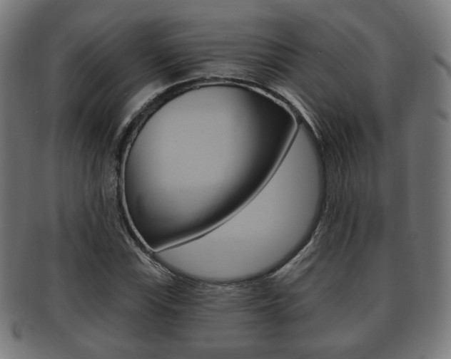 X0000091911115200709051206