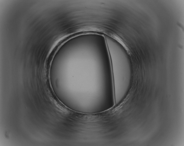 X0000091911116200709051206