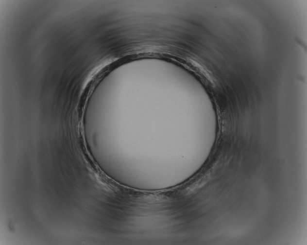 X0000091911117200709051206