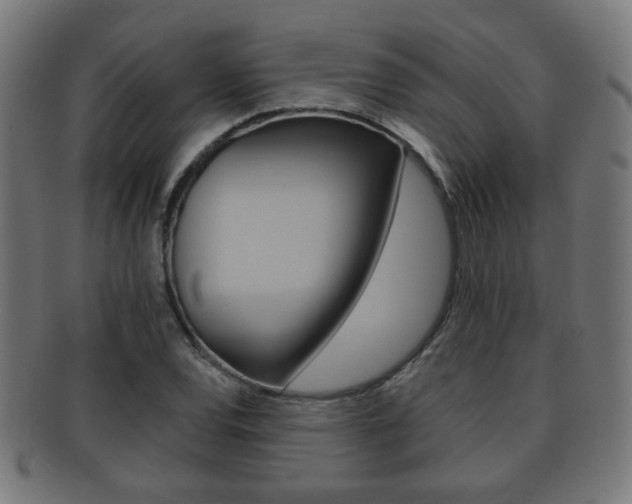 X0000091911120200709051206
