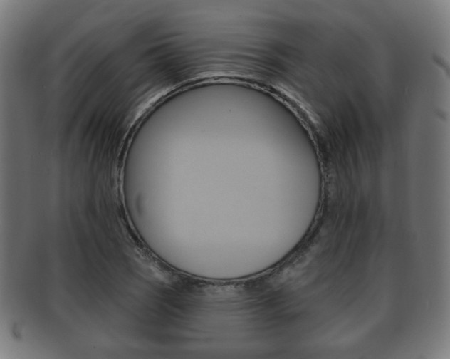X0000091911121200709051206