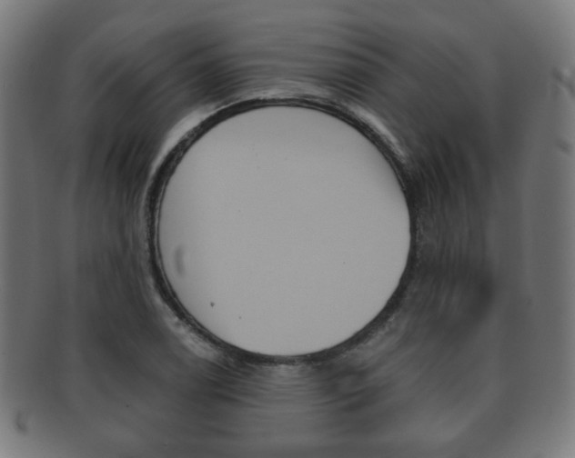 X0000091911122200709051206