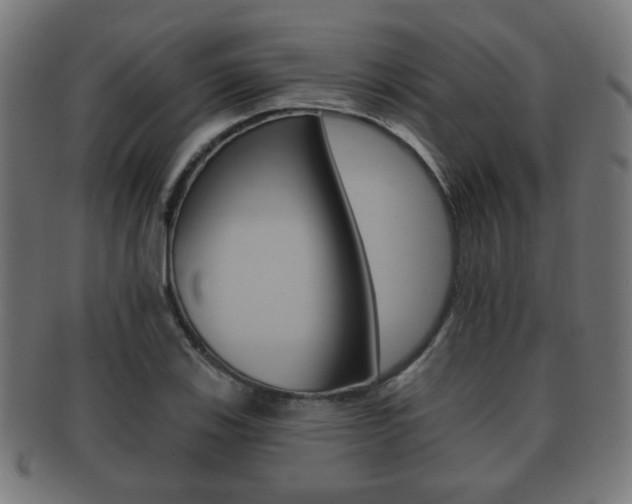 X0000091911123200709051206