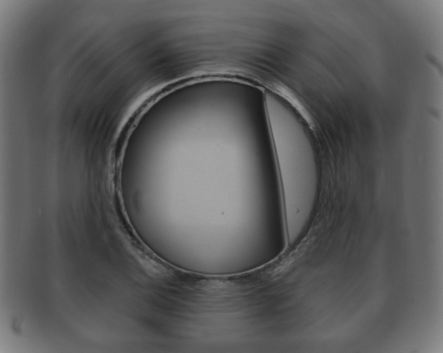 X0000091911124200709051206