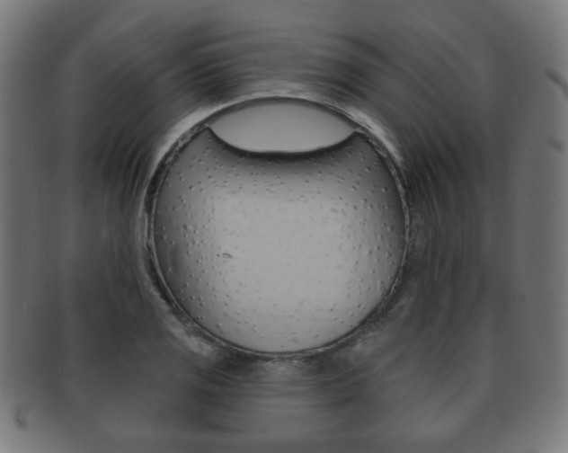 X0000091911125200709051206