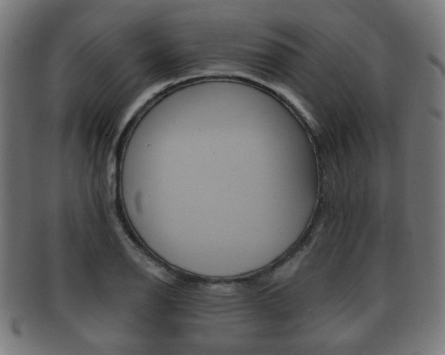 X0000091911126200709051206