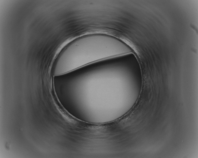 X0000091911127200709051206