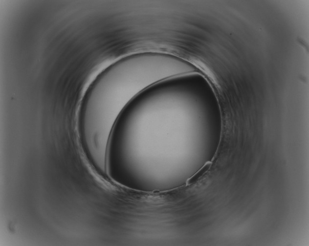 X0000091911128200709051206