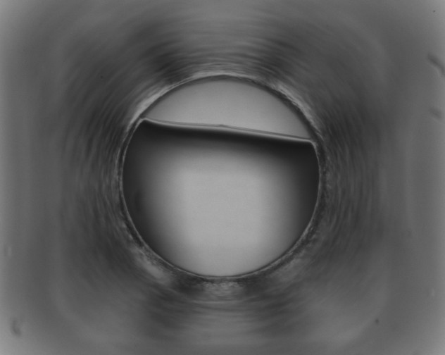 X0000091911129200709051206