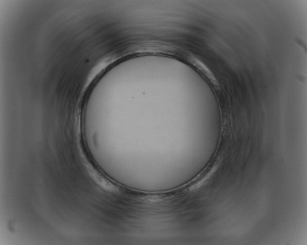 X0000091911130200709051206